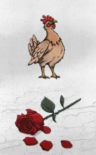 All I Need is My Rooster