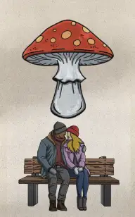 A Seat for Our Toadstool