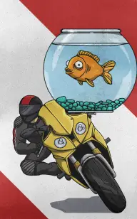 Two Wheels, One Goldfish