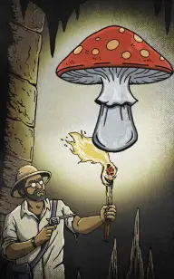 Curse of the Ancient Mushroom