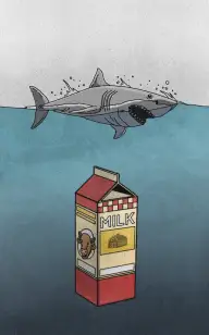 Milk Shark Bait