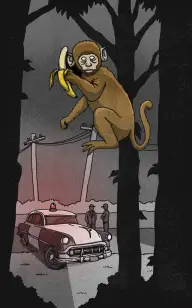 The Chimp Under Arrest