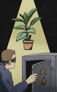 Robbery at the Plant Pot Museum