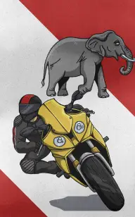 Two Wheels, One Elephant