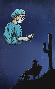 The Lone Rider's Surgeon