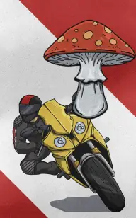 Two Wheels, One Mushroom