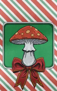 Giving My Toadstool for Christmas