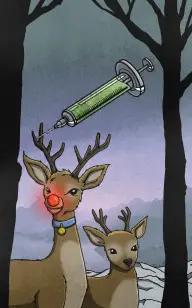 The Little Reindeer's Syringe