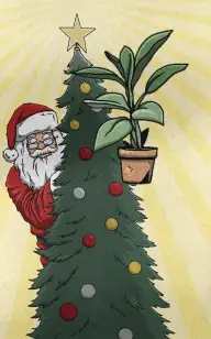 Santa's Flower is Coming to Town