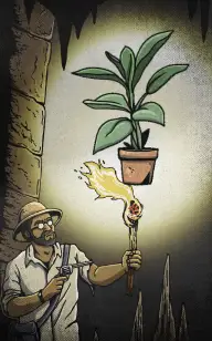 The Flower Labyrinth