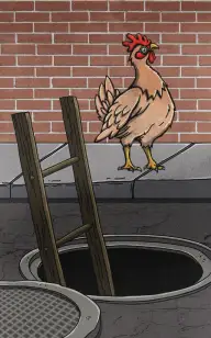 The Urban Chicken