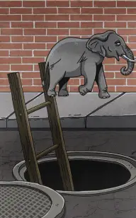The Urban Elephant