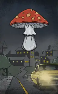 Midnight Mushroom Drive