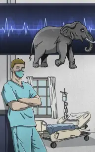 Mammal Emergency Room