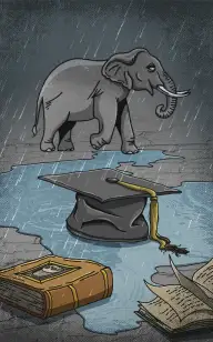 The Elephant Dropout