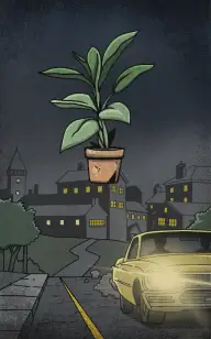Midnight Plant Drive