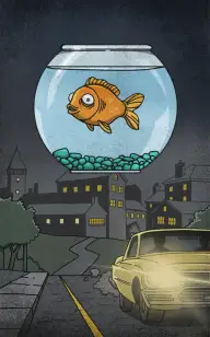 The Fish Bowl, Gone by Midnight