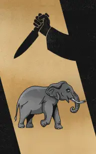 The Neighborhood Elephant Stalker