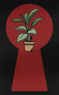 Plant Peeping Through the Keyhole