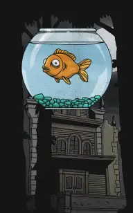 The Fish Bowl, Our Last Guest