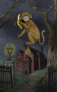 The Ape Knocking at Midnight