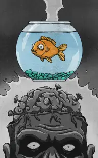 Goldfish Brain Implants