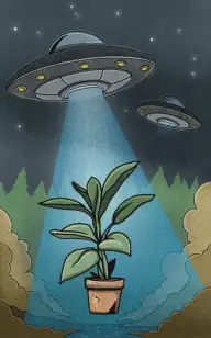 Flower Alien Invasion