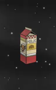 The Space Milk Carton
